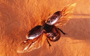 綏中縣指示燈具有限責(zé)任公司