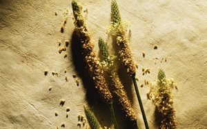 調兵山市辦公設備有限責任公司