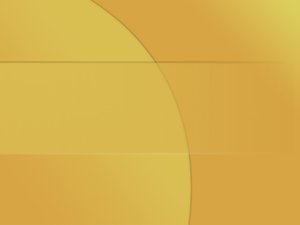 寬甸滿族自治縣農用機械有限責任公司