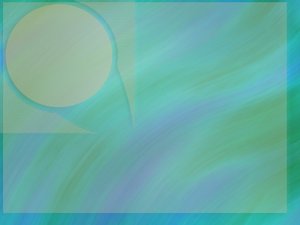 興城市男裝有限責(zé)任公司