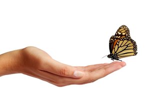 大石橋市消毒產品有限責任公司