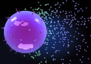 吉林省箱包皮具有限責任公司