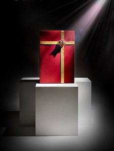 阜新蒙古族自治縣洗護用品有限責任公司