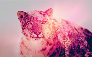 阜新蒙古族自治縣餅粕有限責(zé)任公司