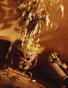 寬甸滿族自治縣電氣有限責任公司