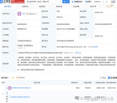 格力電器渠道改革進(jìn)入新時(shí)期 多地成立數(shù)字科技公司推動(dòng)電器輔件銷(xiāo)售